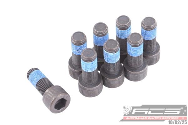 BOLT SET F/W NISS 10x1.0x24.5 (8) 73Nm - TecDoc Only