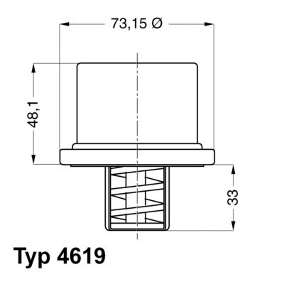 4619.80 WAHLER termosztát, hűtőfolyadék