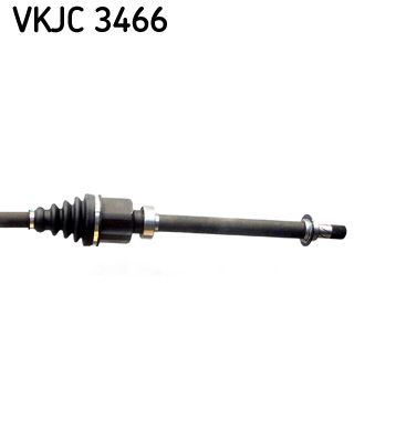 VKJC 3466_3.JPG