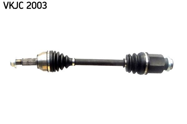 VKJC 2003.JPG