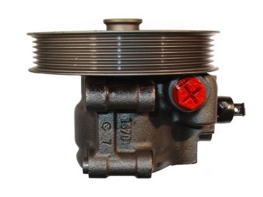 Hydraulikpumpe, Lenkung