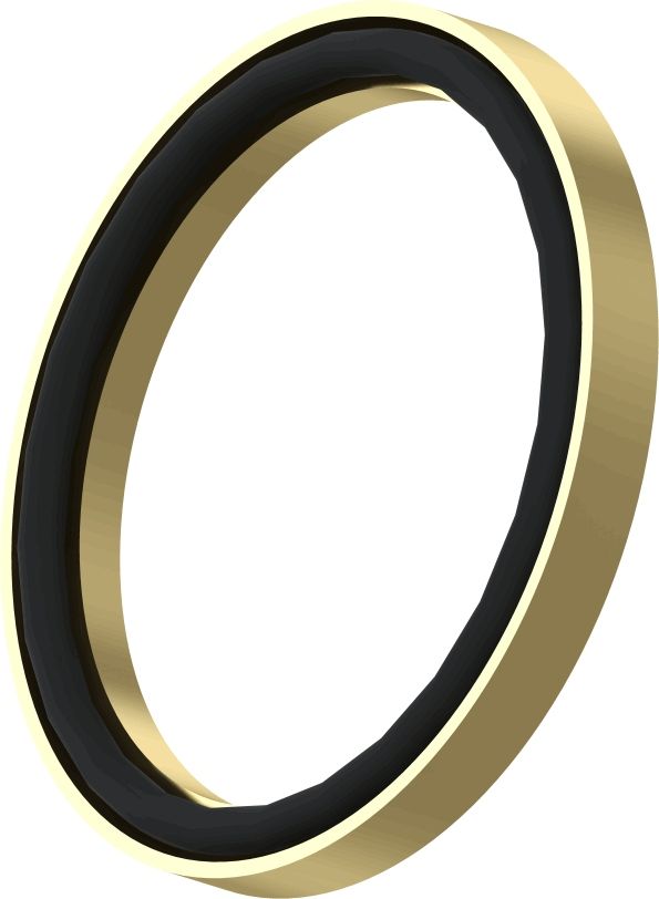 Druckring