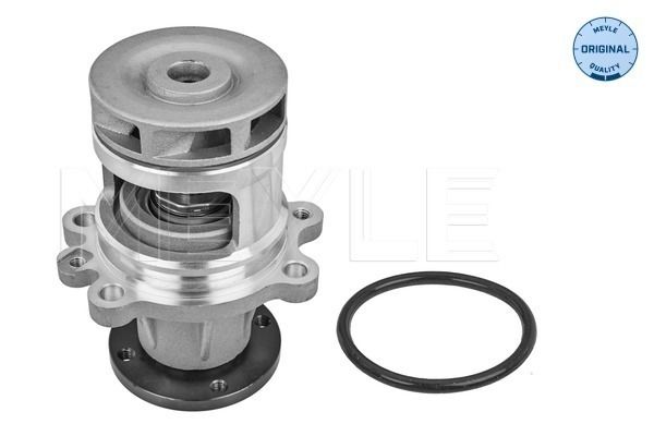 MEYLE 313 011 2900 Water Pump, engine cooling