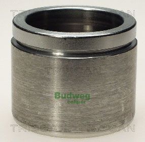 Kolben, Bremssattel