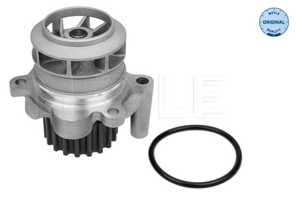 MEYLE 113 220 0021 Water Pump, engine cooling