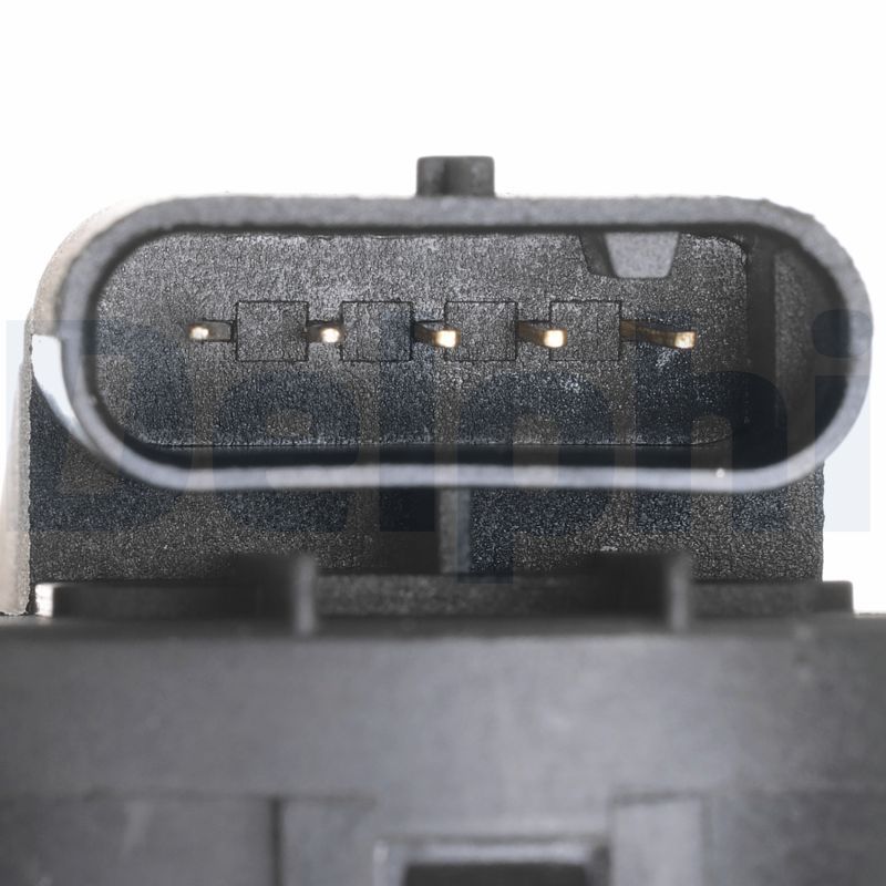 Delphi EG10468-12B1 - AGR-Ventil