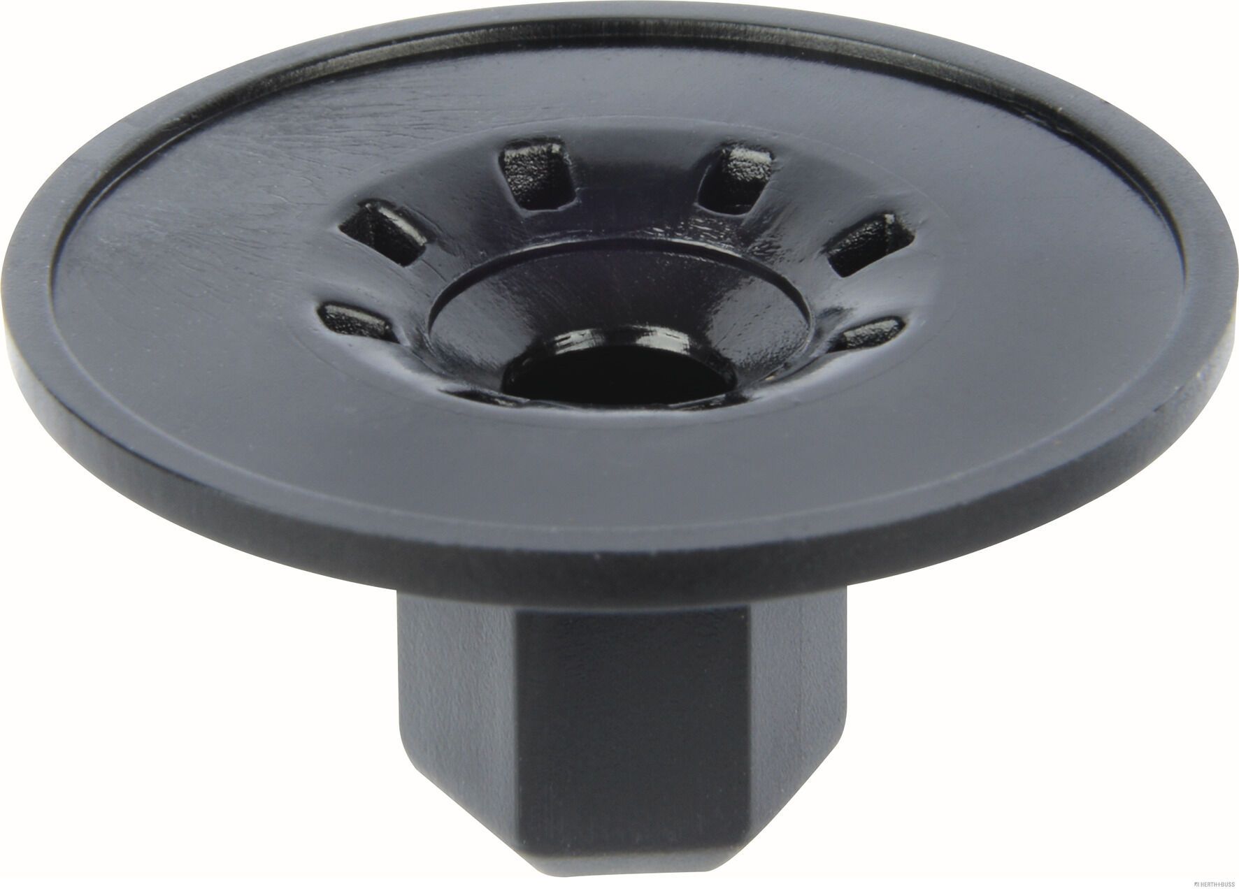 Clip, Zier-/Schutzleiste