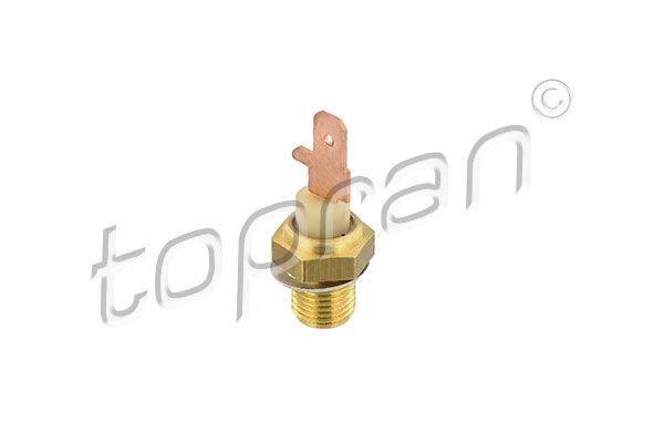 78852.JPG