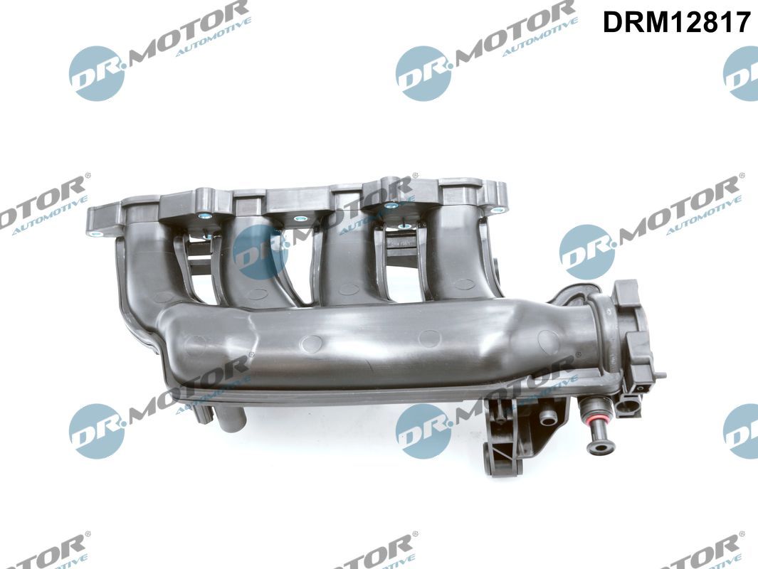 Dr.Motor Automotive DRM12817 - Saugrohrmodul