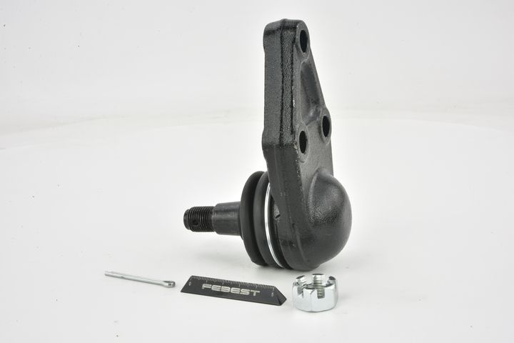 Šarnyras / girgždukas