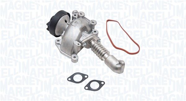 EGR_EV228-WR.JPG