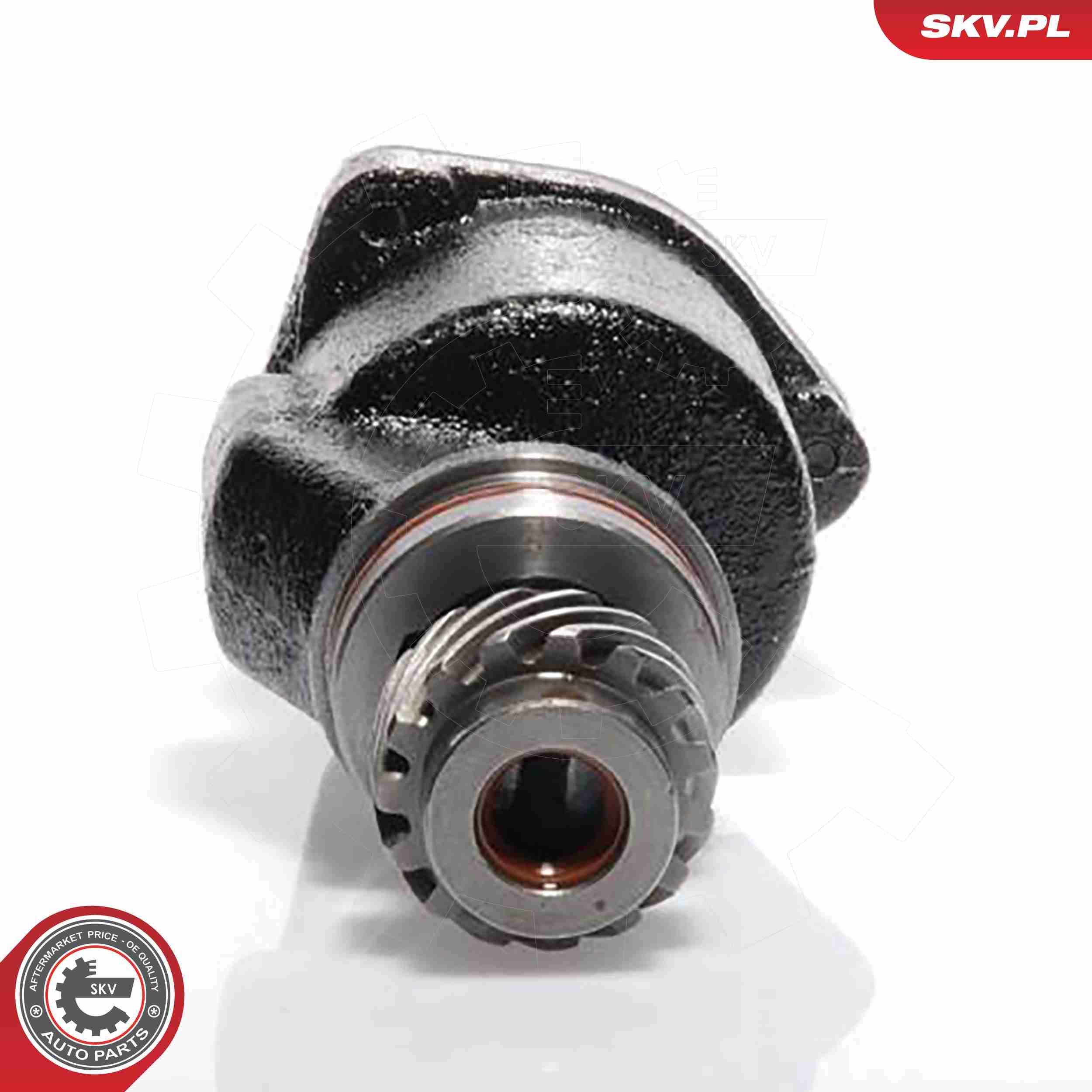 ESEN SKV 18SKV001 - Unterdruckpumpe, Bremsanlage