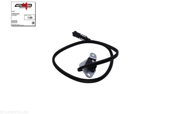 Sensor, Nockenwellenposition