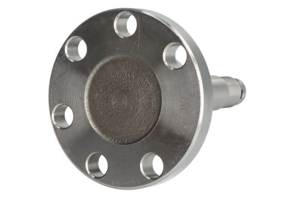 Achszapfen, Achskörper