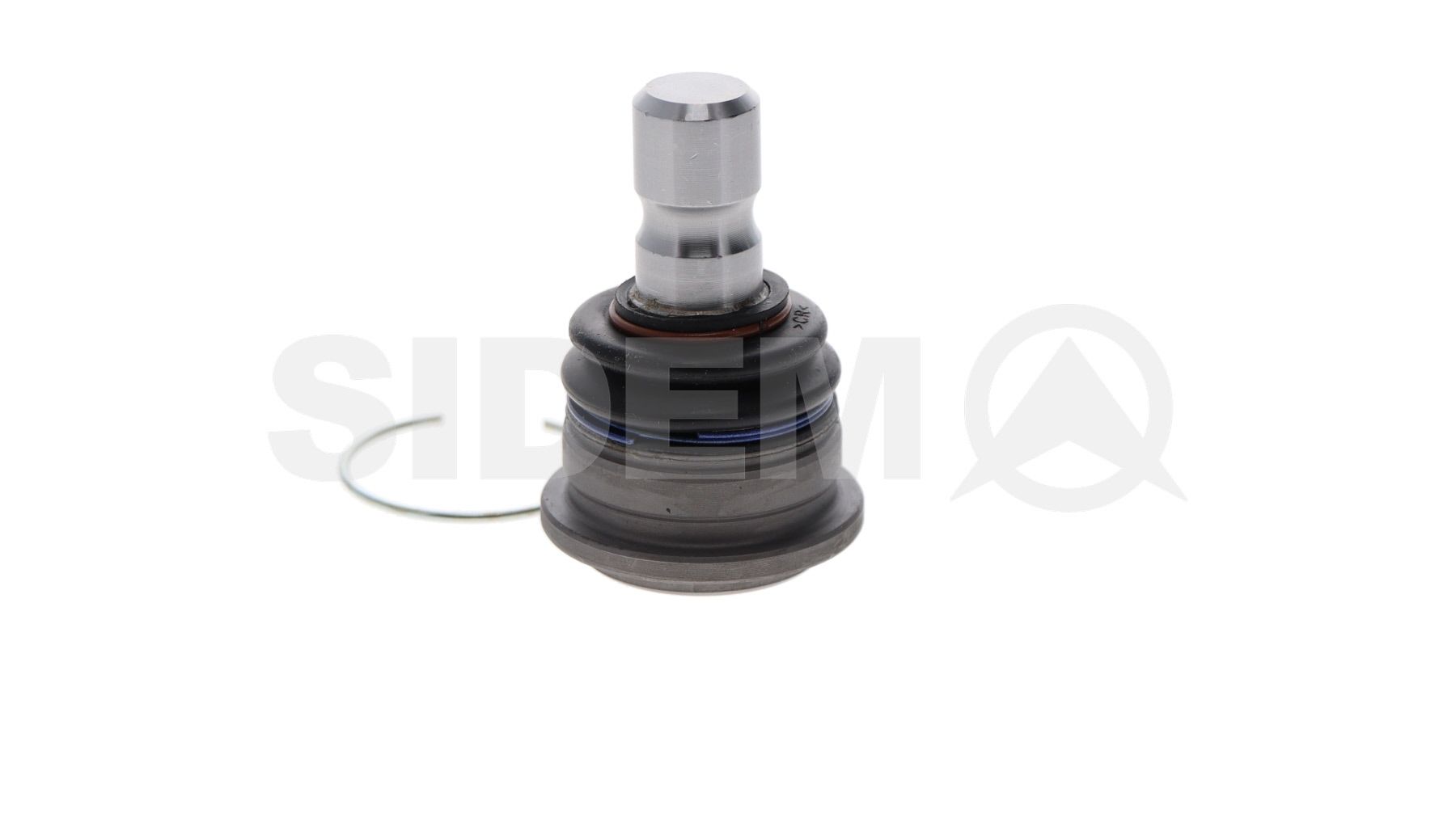 Šarnyras / girgždukas