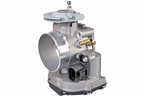 Drosselklappenstutzen