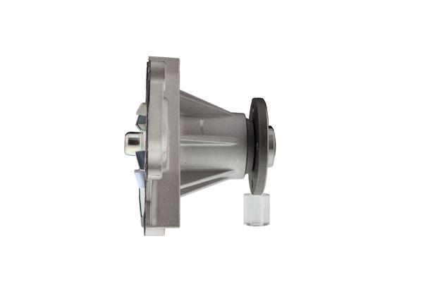 WPT-003V 04.JPG