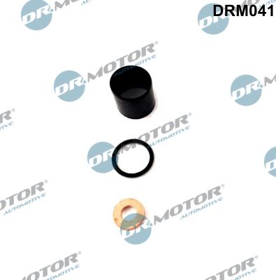 Dr.Motor Automotive DRM041 Seal Kit, injector nozzle