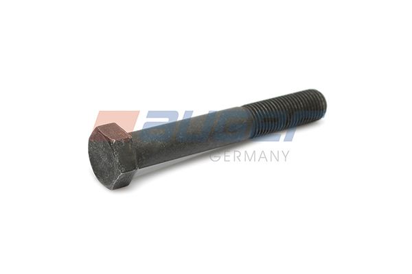 Befestigungsbolzen, Stabilisator Befestigungsbolzen, Stabilisator
