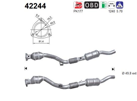 AS 42244 - Katalysator