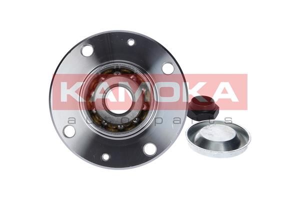 Wheel Bearing Kit 5500003