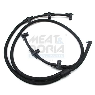 Schlauch, Leckkraftstoff