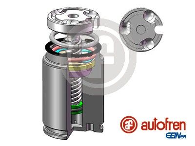 AUTOFREN SEINSA D02545LK - Kolben, Bremssattel