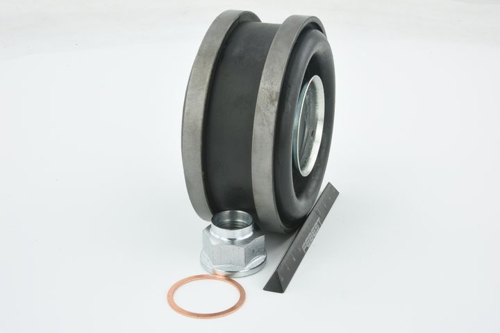 guolis, kardaninio veleno centrinis guolis