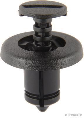 Clip, Zier-/Schutzleiste