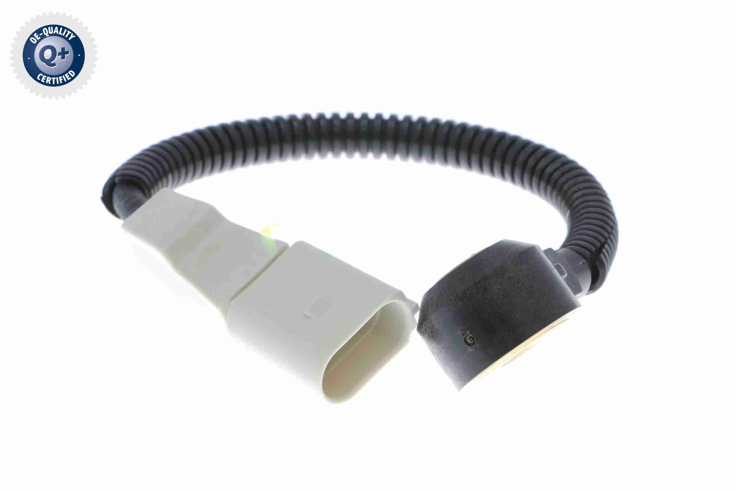 Klopfsensor