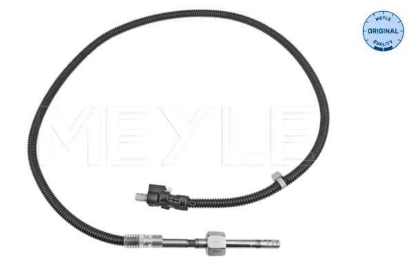 Sensor, Abgastemperatur