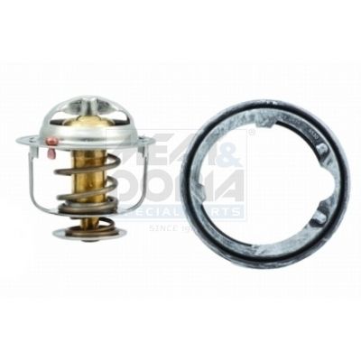 Thermostat, Kühlmittel