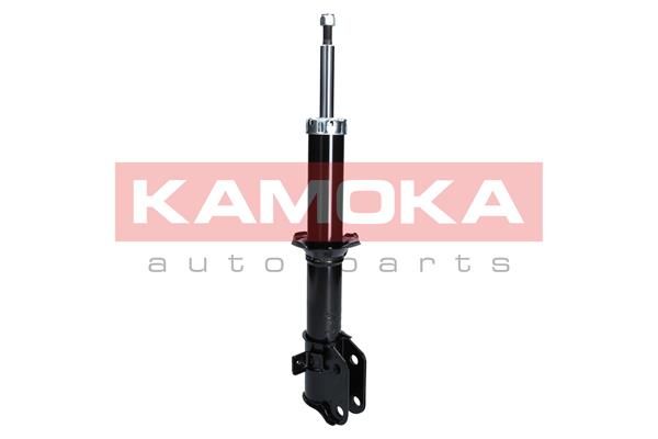 Shock Absorber 2000267