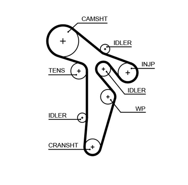 COURROIE DISTRIBUTION