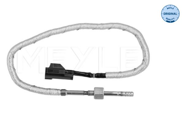 Sensor, Abgastemperatur