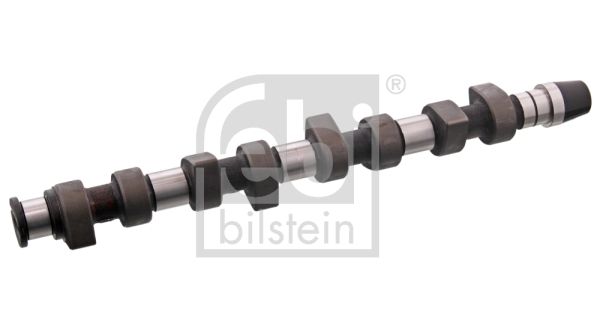 Camshaft 10009