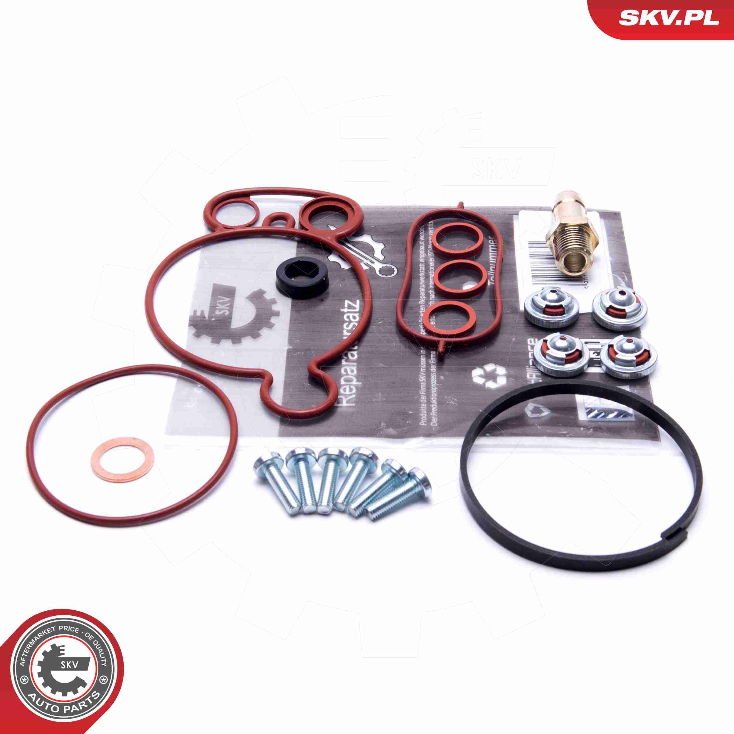 ESEN SKV 18SKV805 - Reparatursatz, Unterdruckpumpe (Bremsanlage)