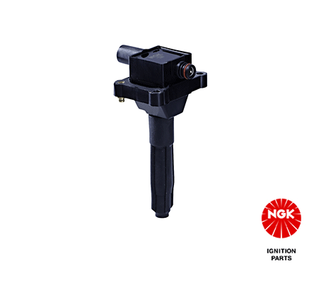 Ignition Coil 48018