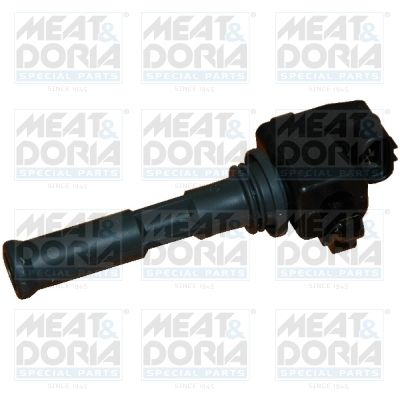 Ignition Coil 10334