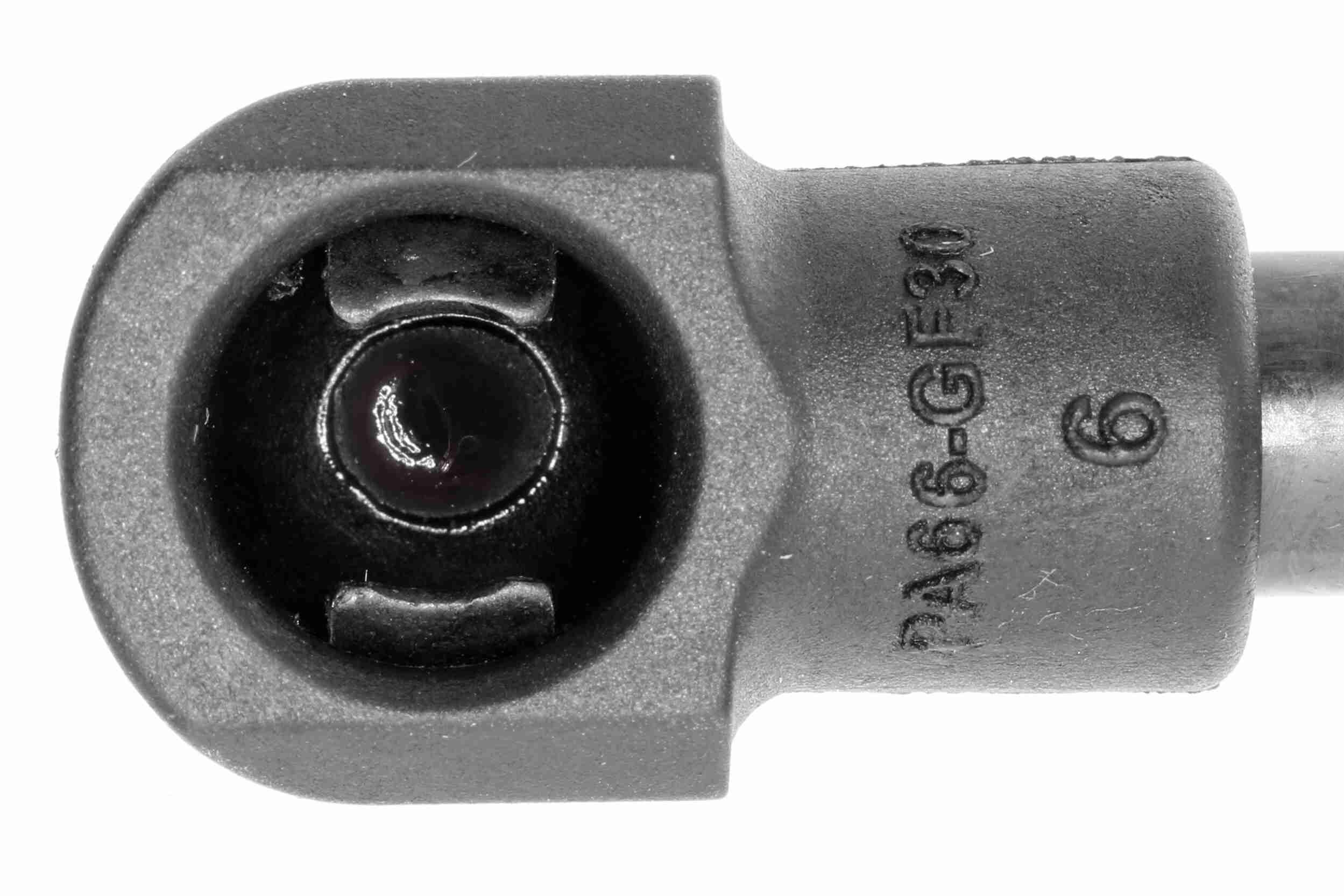 Gasfeder, Koffer-/Laderaum