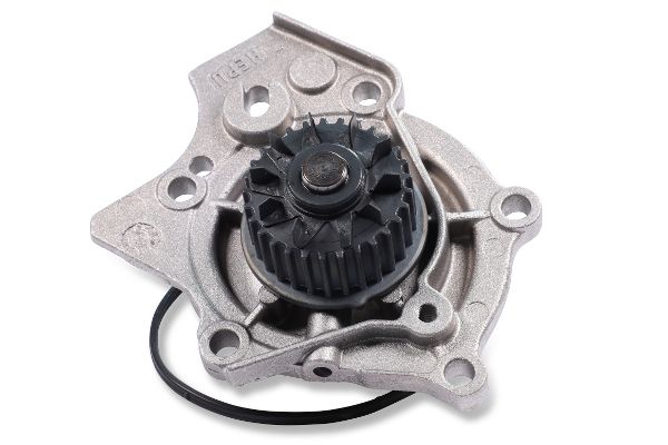 Water Pump, engine cooling P659