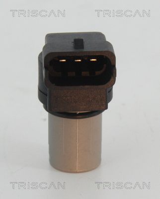 885523109_2.JPG