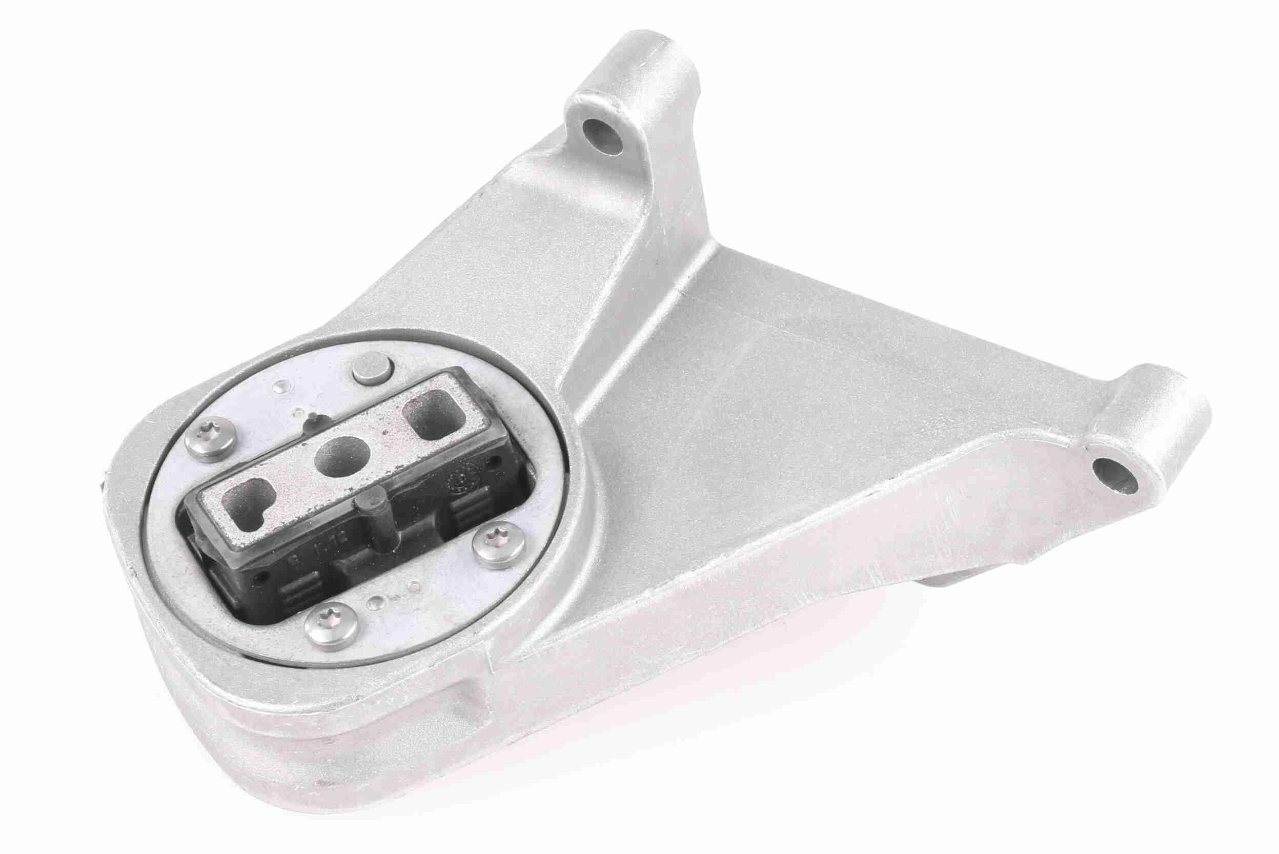 Halter, Motoraufhängung