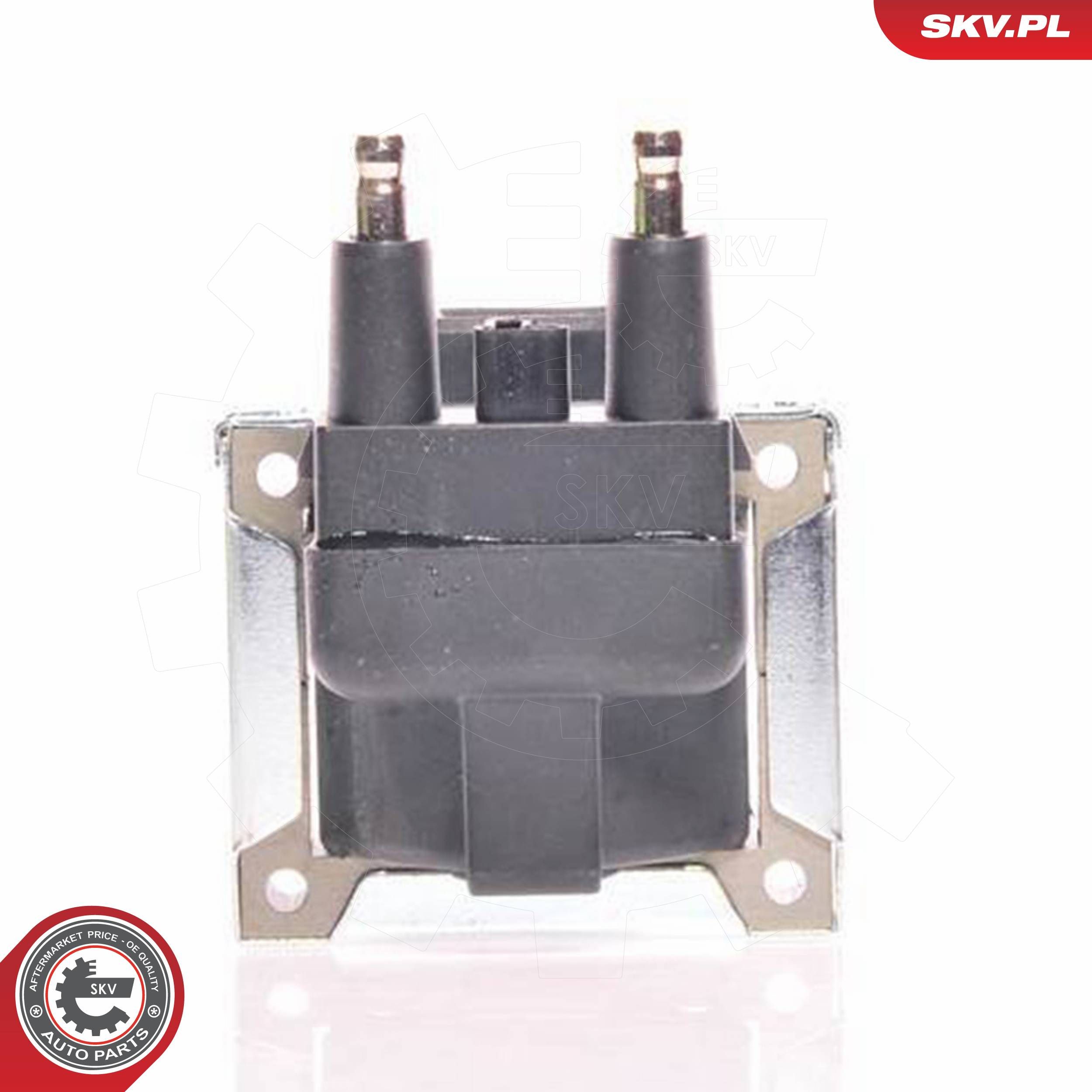 ESEN SKV 03SKV060 - Zündspule