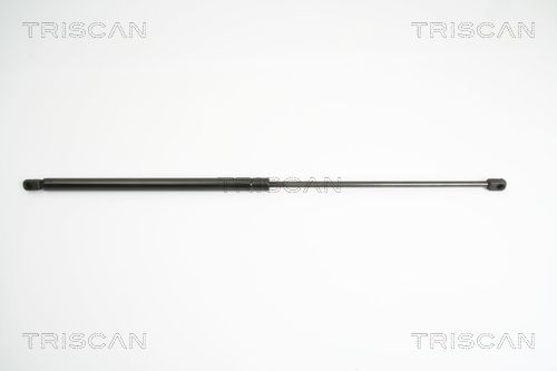 Triscan 8710 18213 Gasfeder, Koffer-/Laderaum