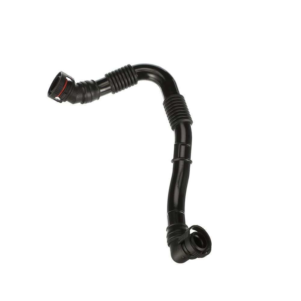 žarna, karterio alsuoklis