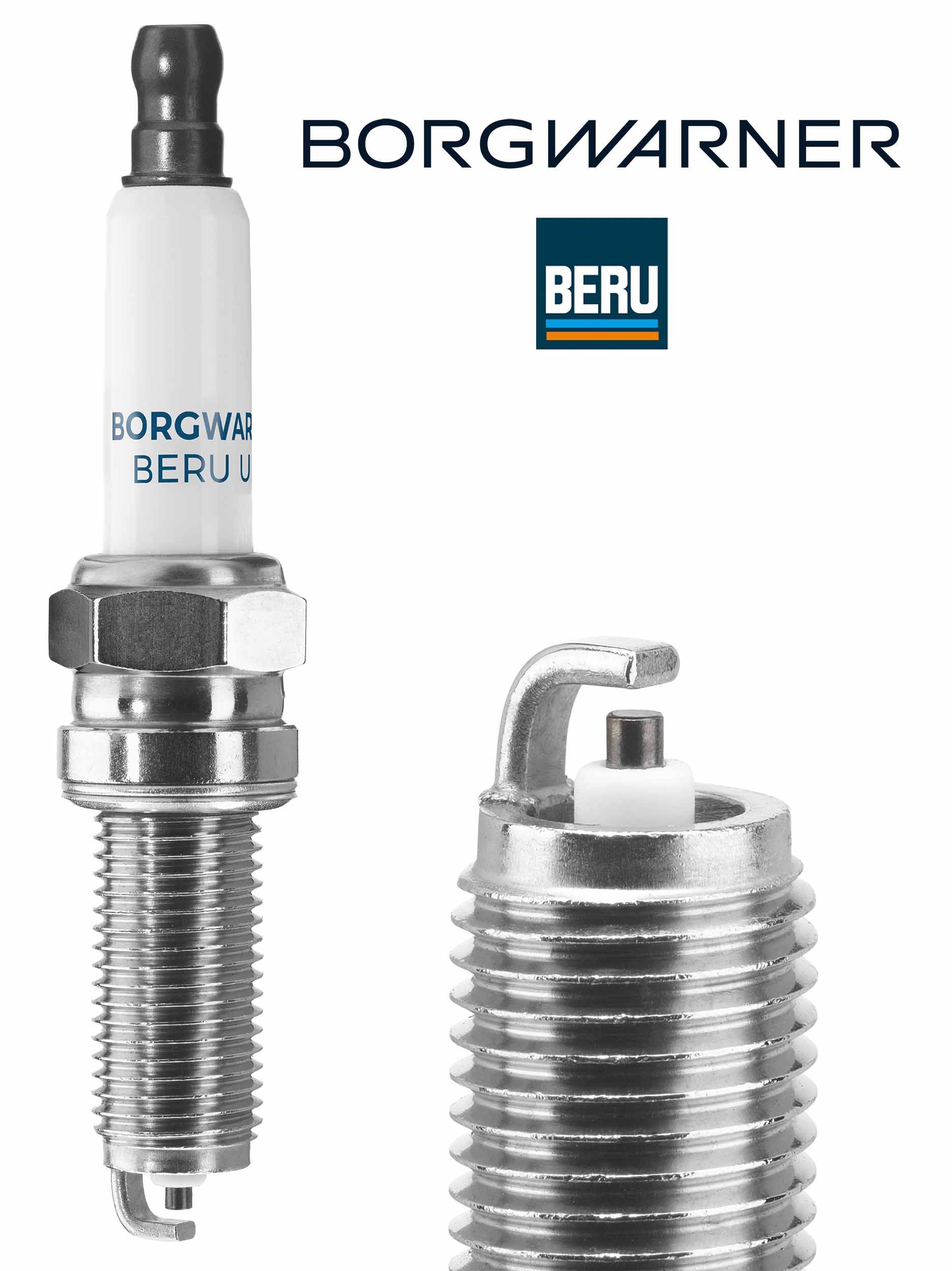 BorgWarner (BERU) Z361 - Z&uuml;ndkerze