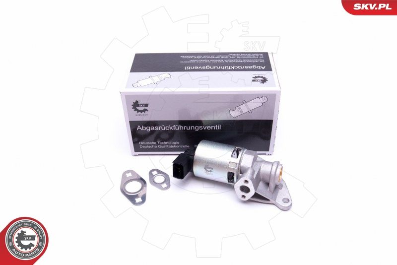 14SKV208 ESEN SKV AGR-szelep