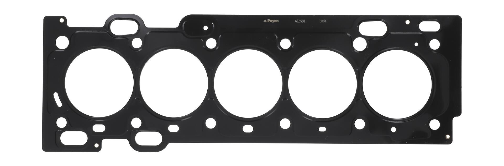 PAYEN AE5560 - Dichtung, Zylinderkopf