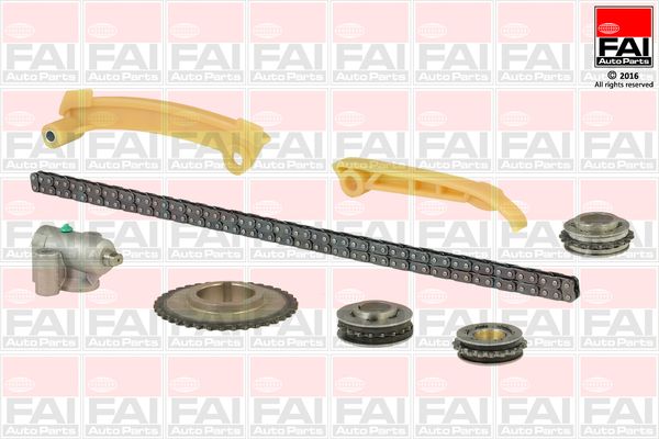 FAI AutoParts TCK266NG - Steuerkettensatz